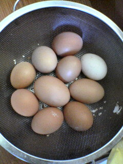 egg20100408.jpg