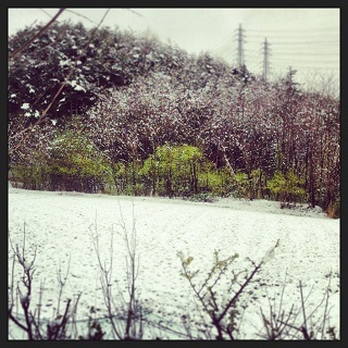 20130421.jpg