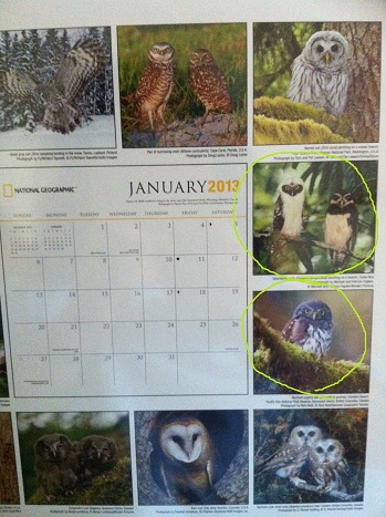 amazoncalendar.jpg