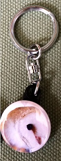 keyringbarnowl.jpg