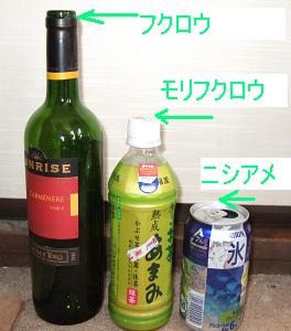 size.JPG
