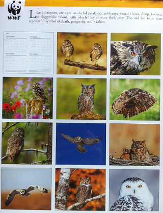 wwfcalendarura.png
